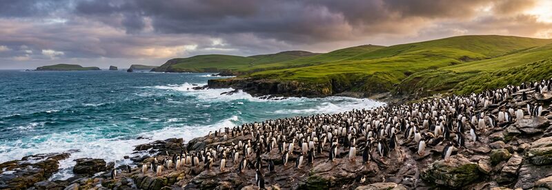 Falklandy